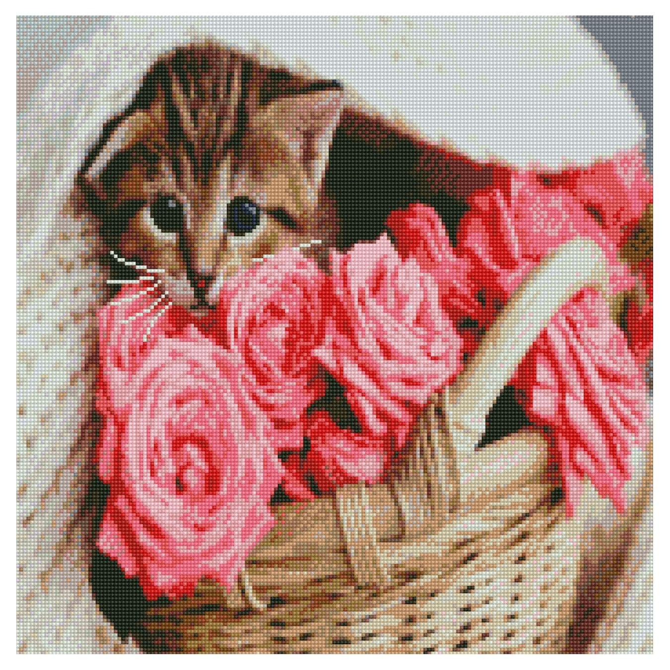 Алмазна мозаїка Strateg Котик у кошику 50х50 см GA0012