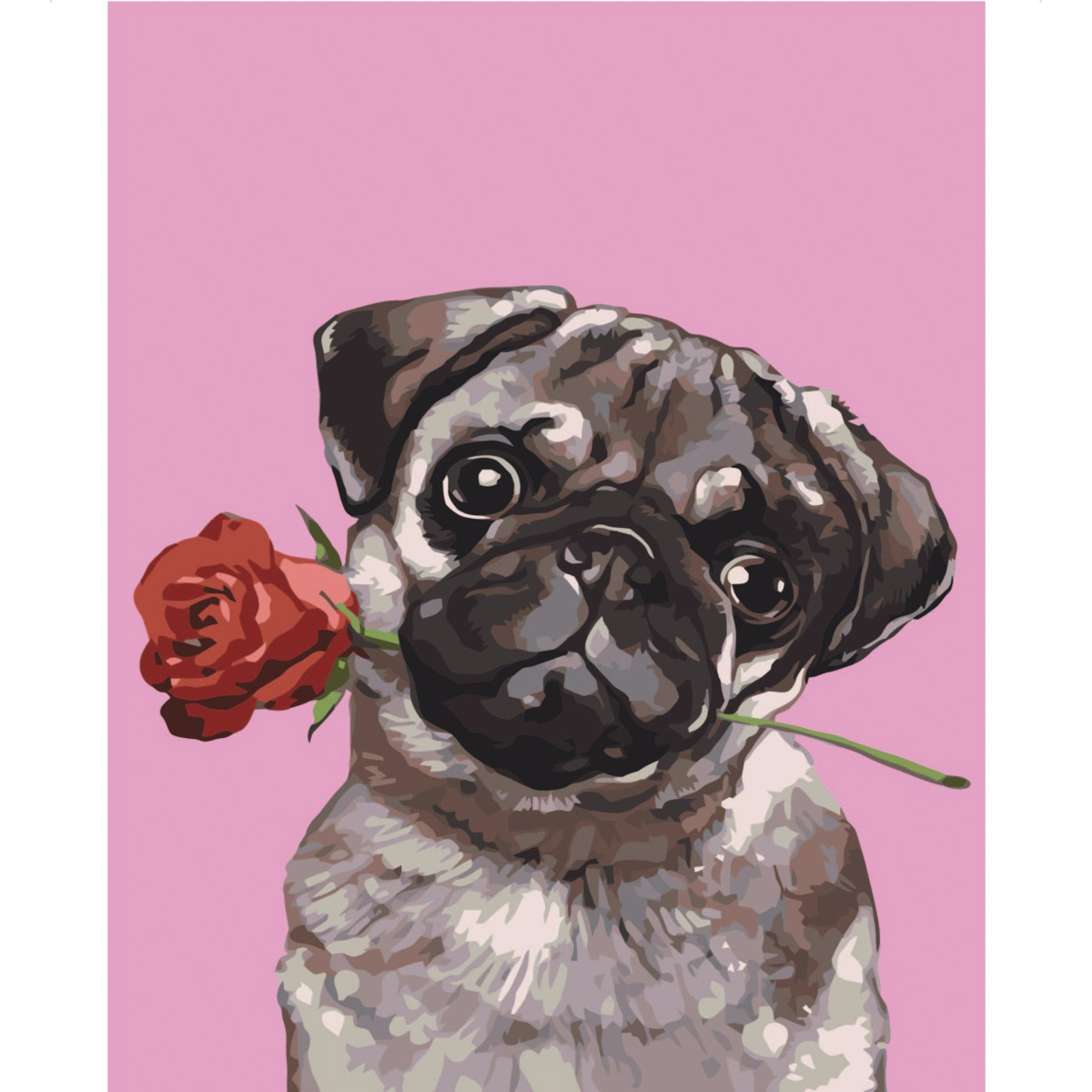 Картина за номерами Strateg Мопс із розою з лаком розміром 30х40 см SS-6403