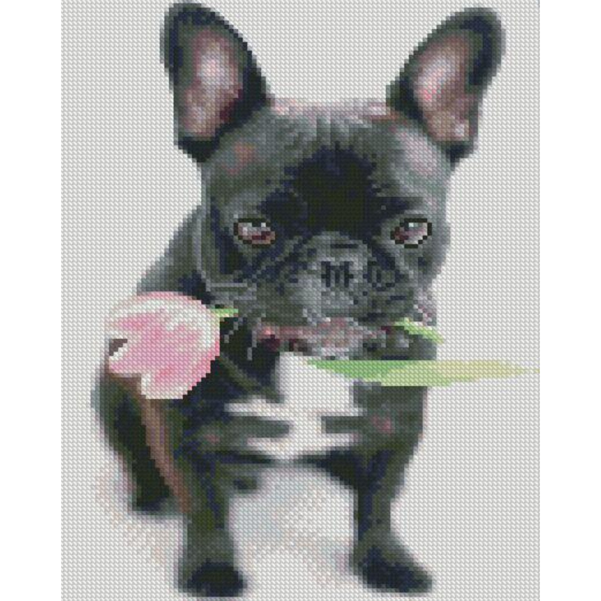 Алмазна мозаїка Strateg Французький бульдог розміром 30х40 см HX456