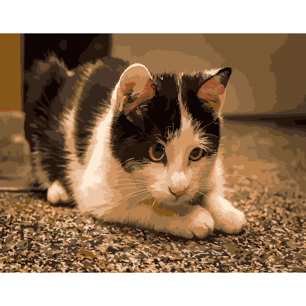 Картина за номерами Strateg Грайливий котик розміром 40х50 см (DY083)