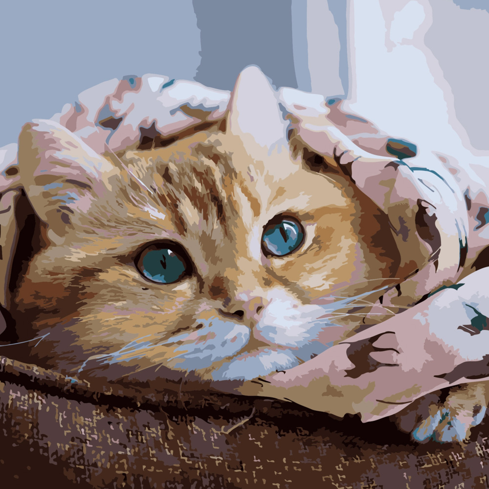 Картина за номерами Strateg Руде кошеня розміром 40х40 см (SK040)