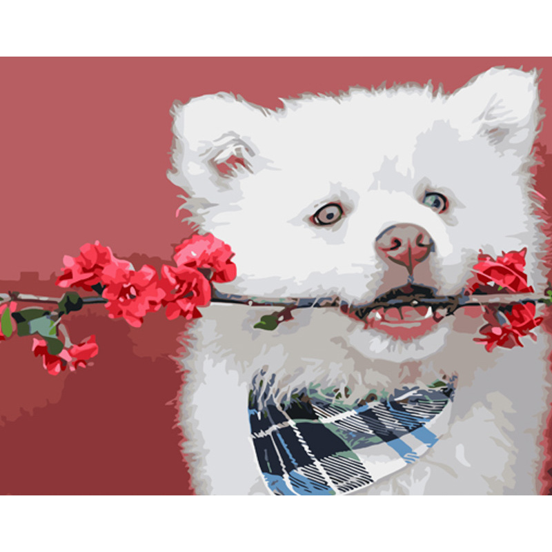 Картина за номерами Strateg Білий джентельмен розміром 40х50 см (GS948)