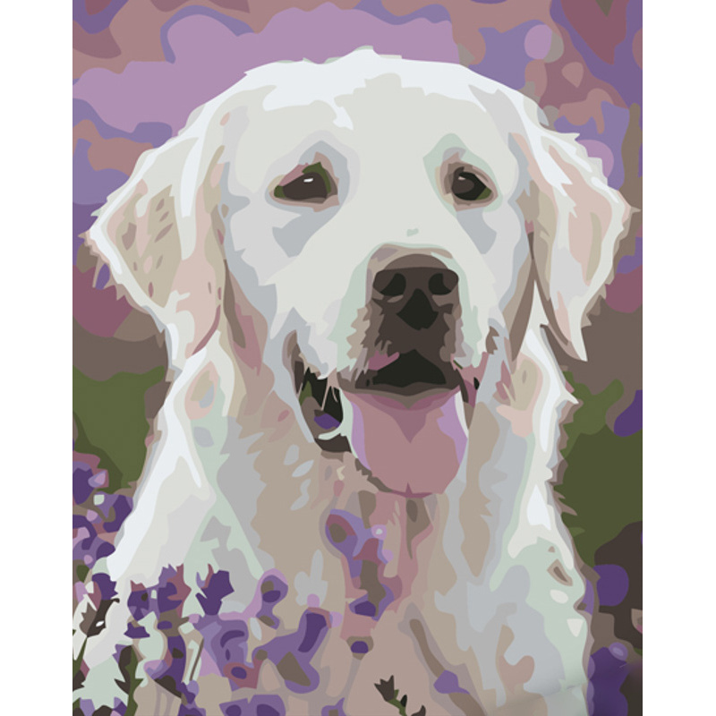 Картина за номерами Strateg Лабрадор у квітковому полі з лаком розміром 40х50 см (GS1099)