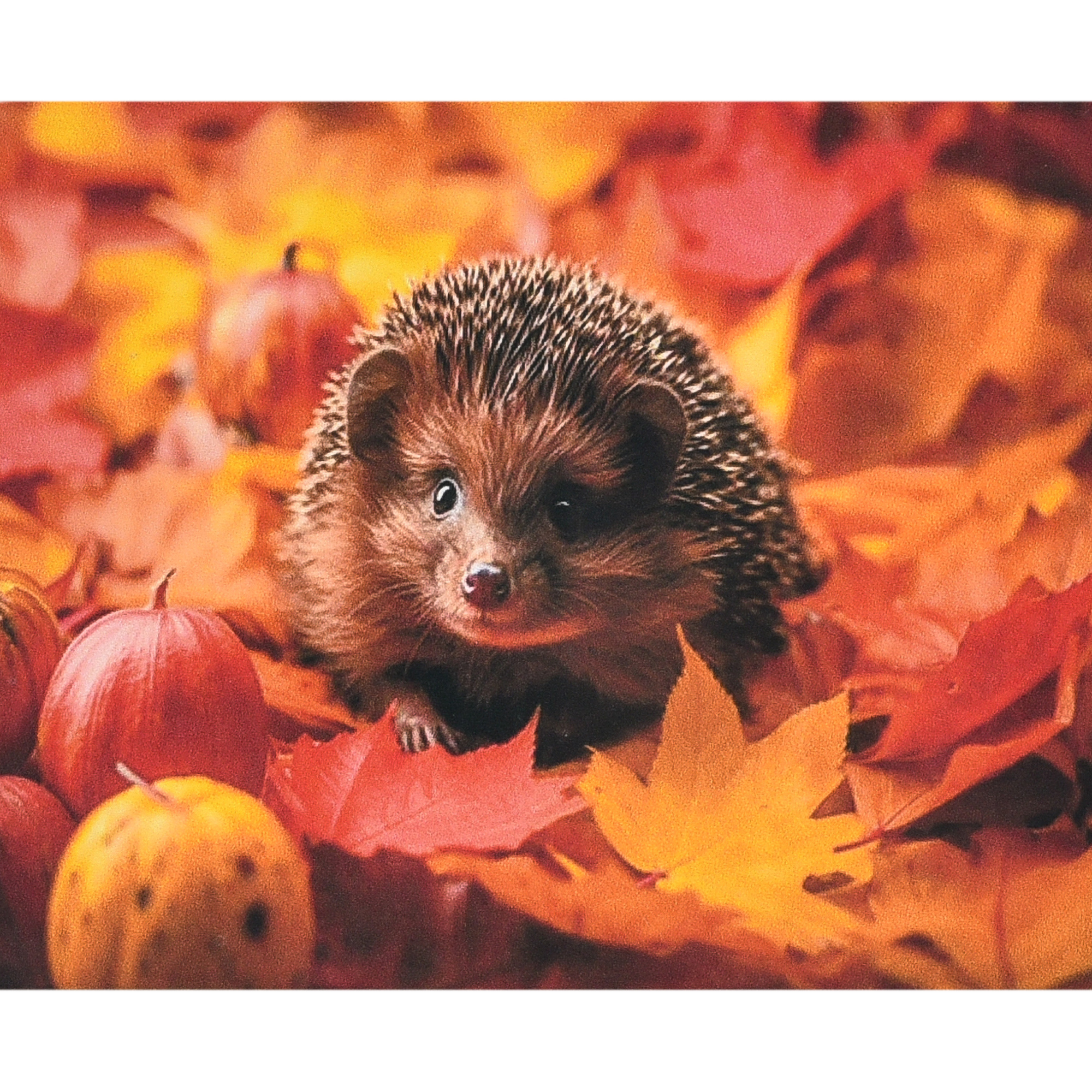 Алмазна мозаїка Strateg Осінь у колючках розміром 40х50 см (SK88227)