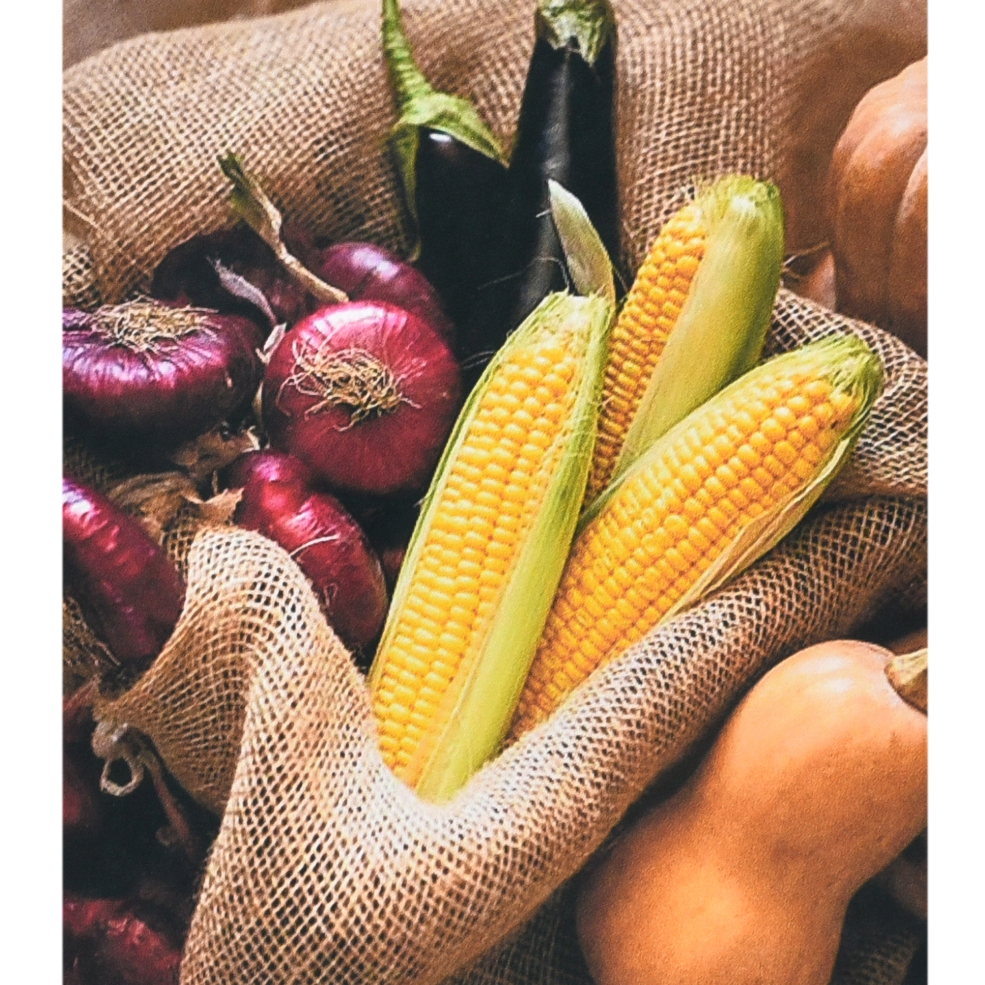 Алмазна мозаїка Strateg Плоди праці розміром 40х50 см (SK88270)