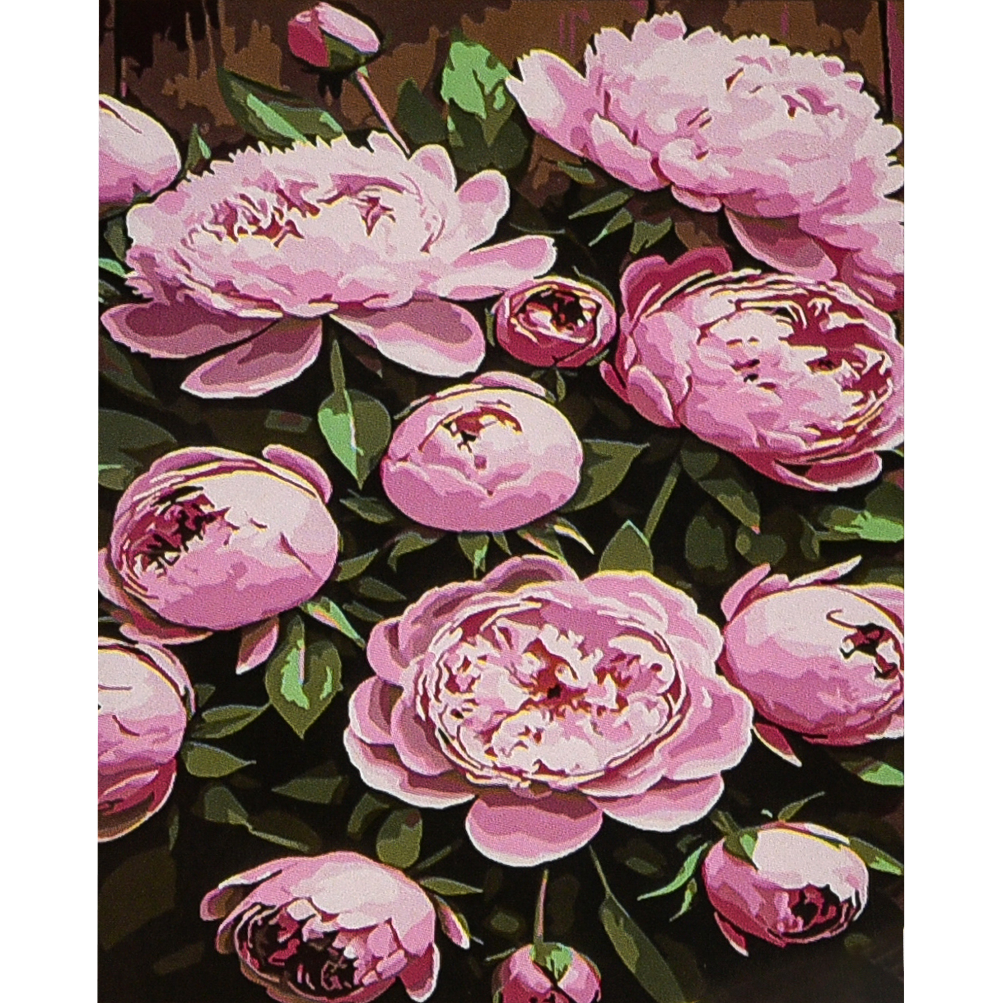 Картина за номерами Strateg ПРЕМІУМ Рожеві півонії розміром 30х40 см (SS1196)