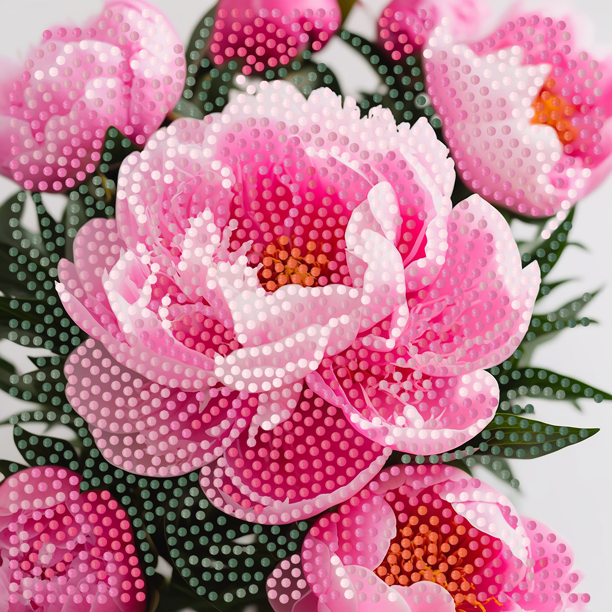 Алмазна мозаїка Strateg ПРЕМІУМ Свіжість на паперовій основі розміром 18х18 см (ZAV1818-23)