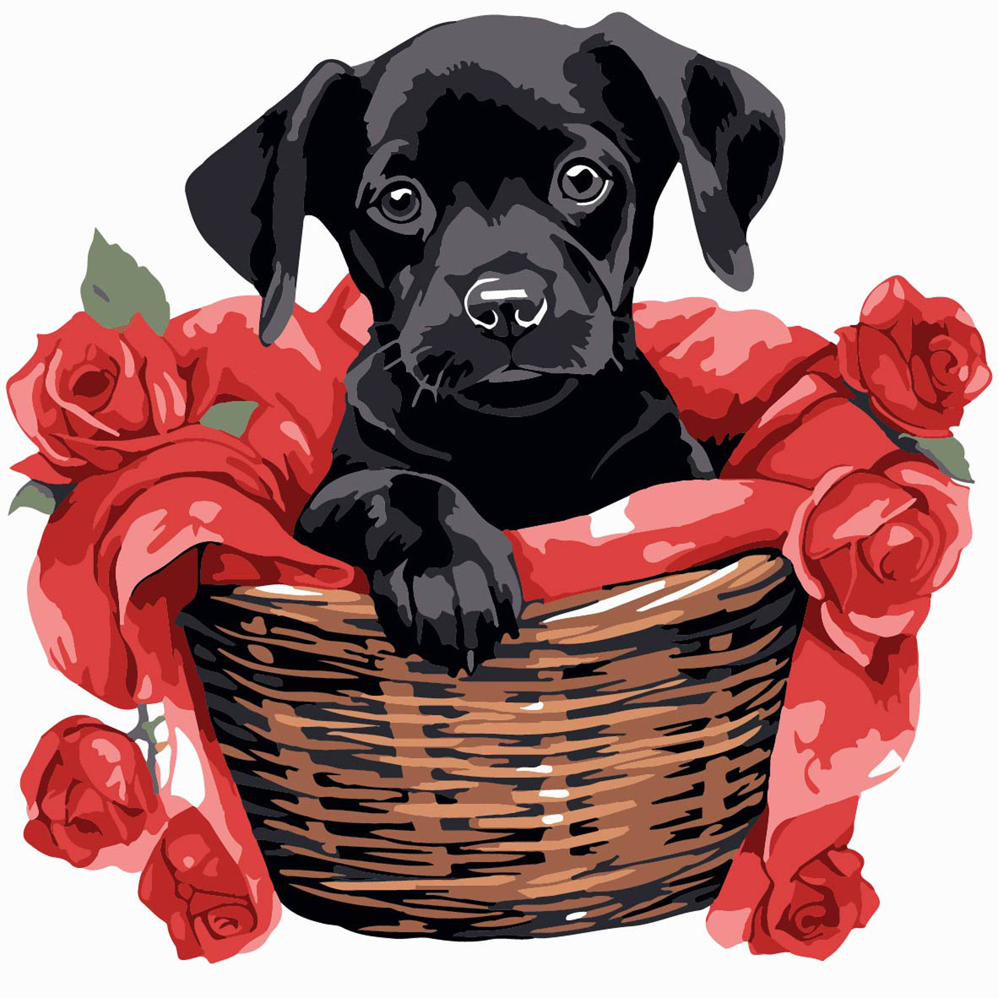 Картина за номерами Strateg Чорне щеня з трояндами розміром 20х20 см (HH8010)