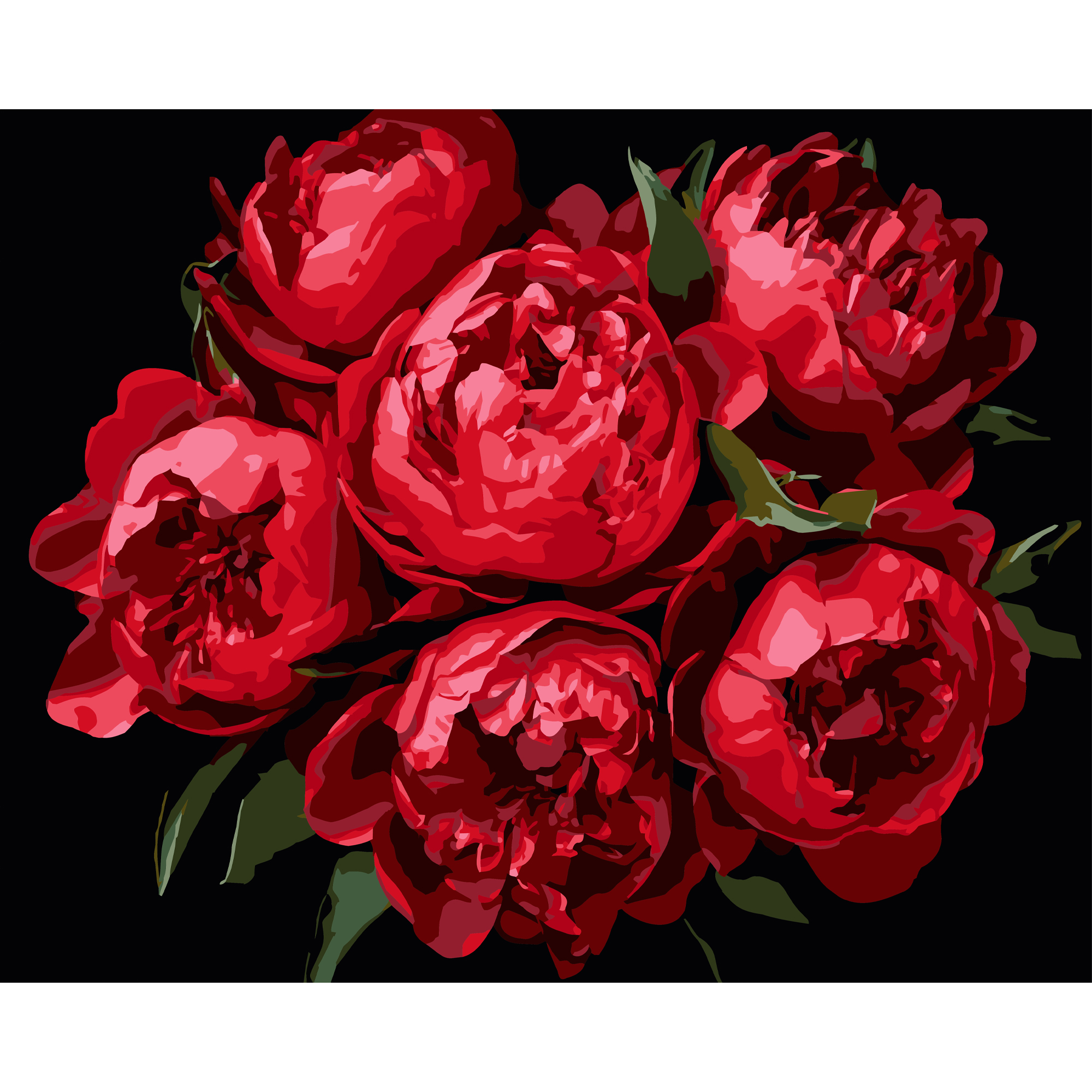 Картина за номерами Strateg ПРЕМІУМ Яскраві півонії на чорному фоні розміром 40х50 см (AH1215-11)