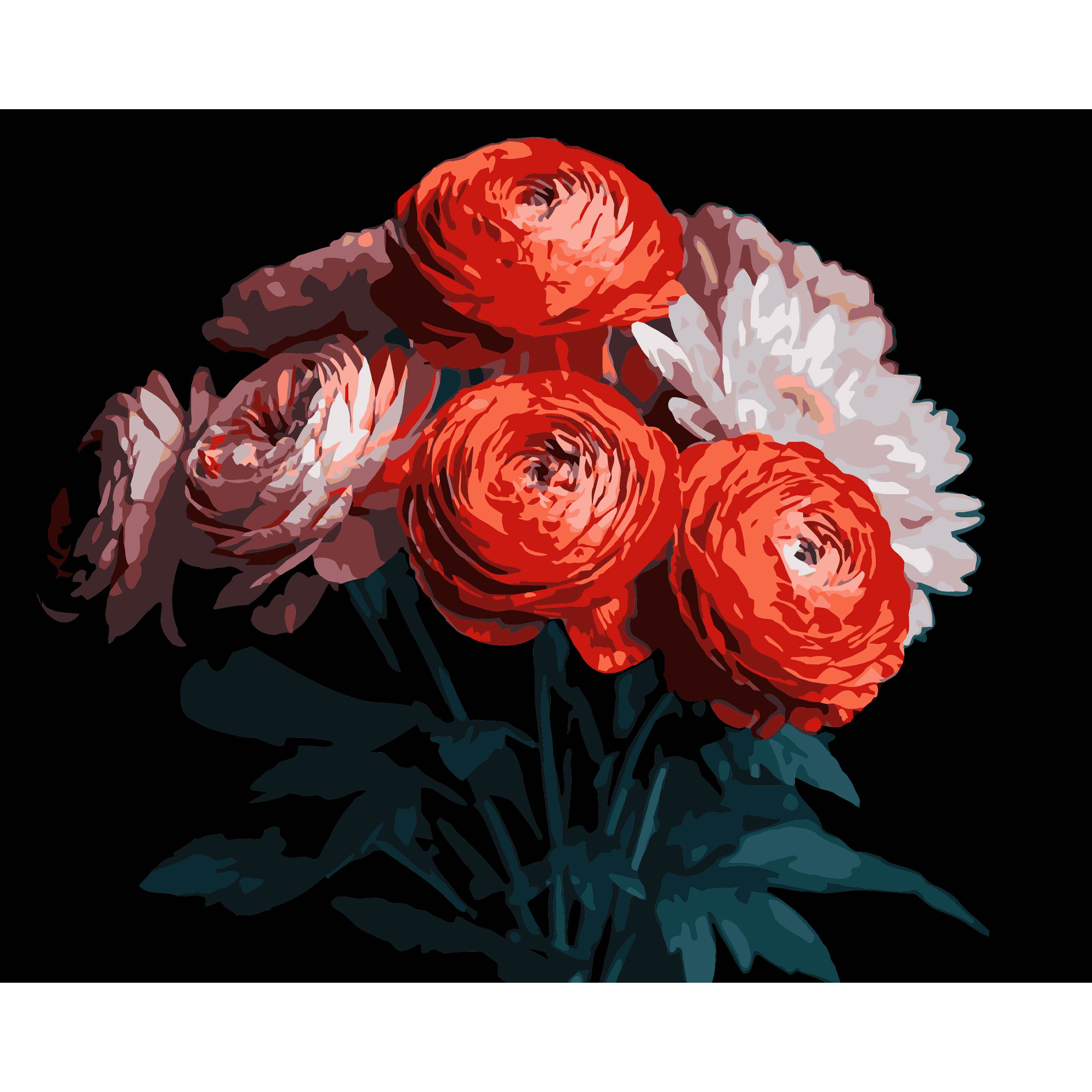 Картина по номерам Strateg Красные ранункулюсы на черном фоне 40Х50 (AH1250)