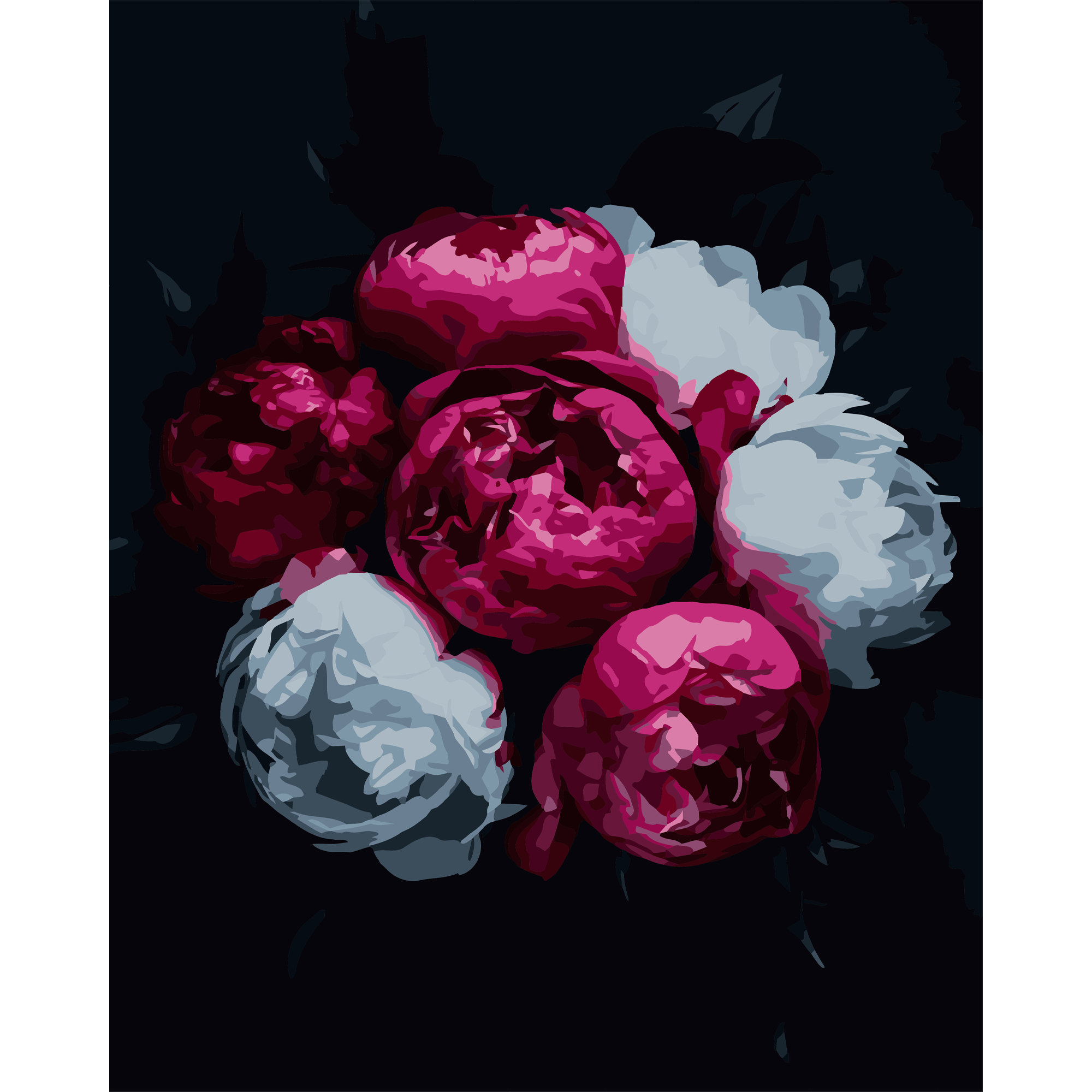 Painting by numbers Strateg Pink and white flowers on a black background 40Х50 (AH1254)