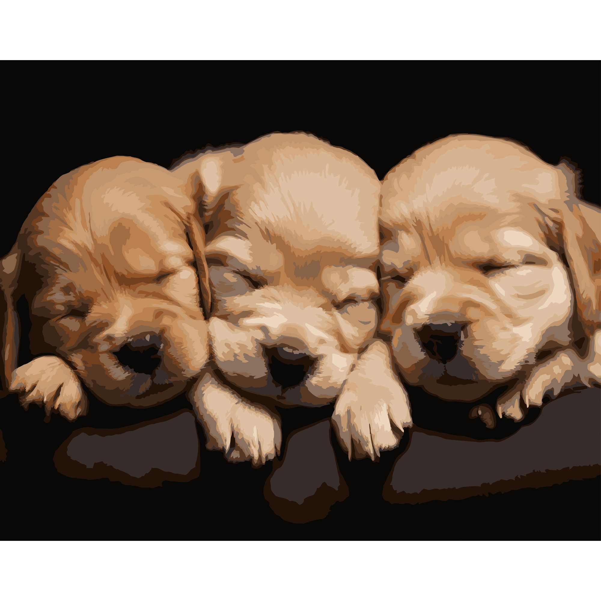 Painting by numbers Strateg Sleeping dogs on a black background 40Х50 (AH1283)