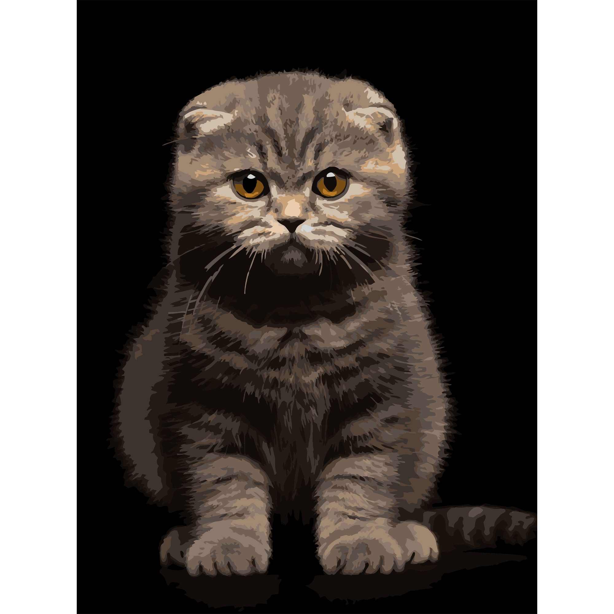 Painting by numbers Strateg Gray kitten on a black background 30Х40 (FH-25)