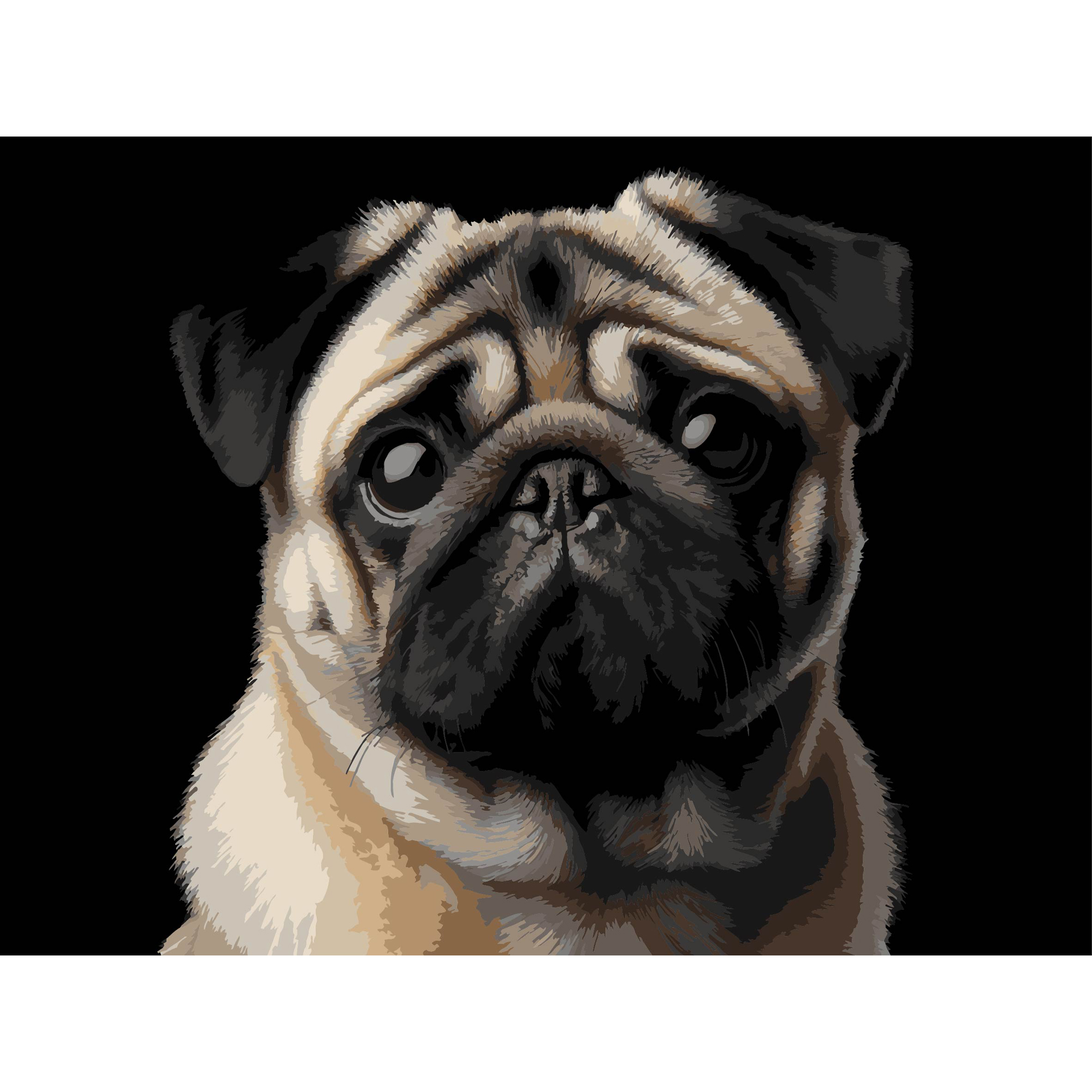 Картина по номерам Strateg Мопс на черном фоне 30Х40 (FH-34)